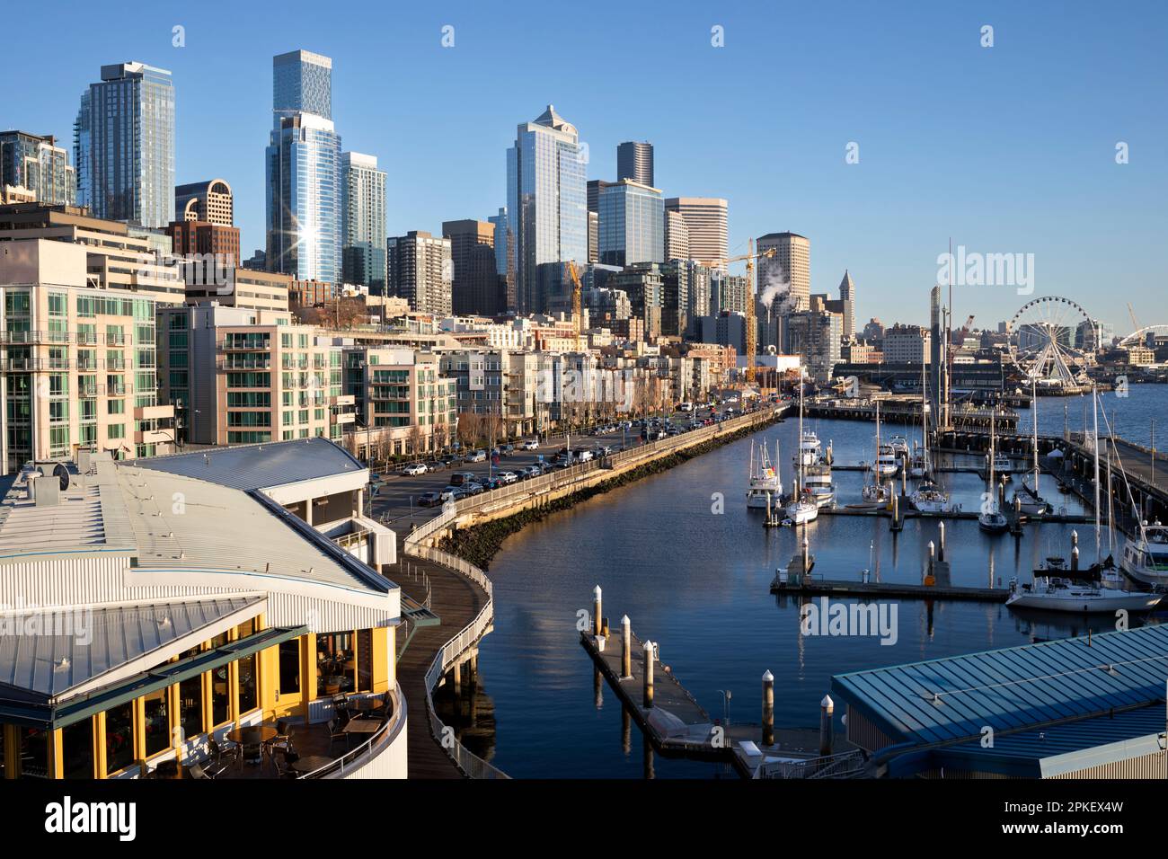 WA2416200....WASHINGTON Seattle skyline, waterfront and Bell Harbor
