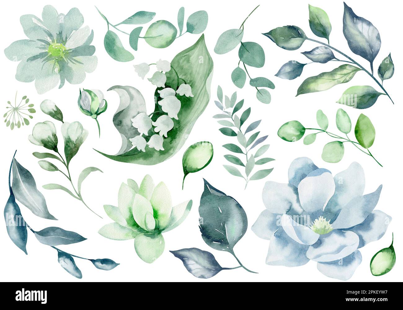 Set of watercolor floral elements. Collection of elements of flowers ...