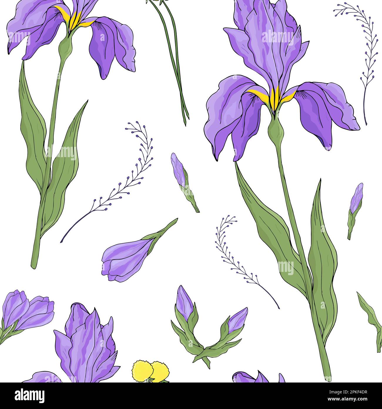 Iris flower seamless pattern on white background Stock Vector Image ...