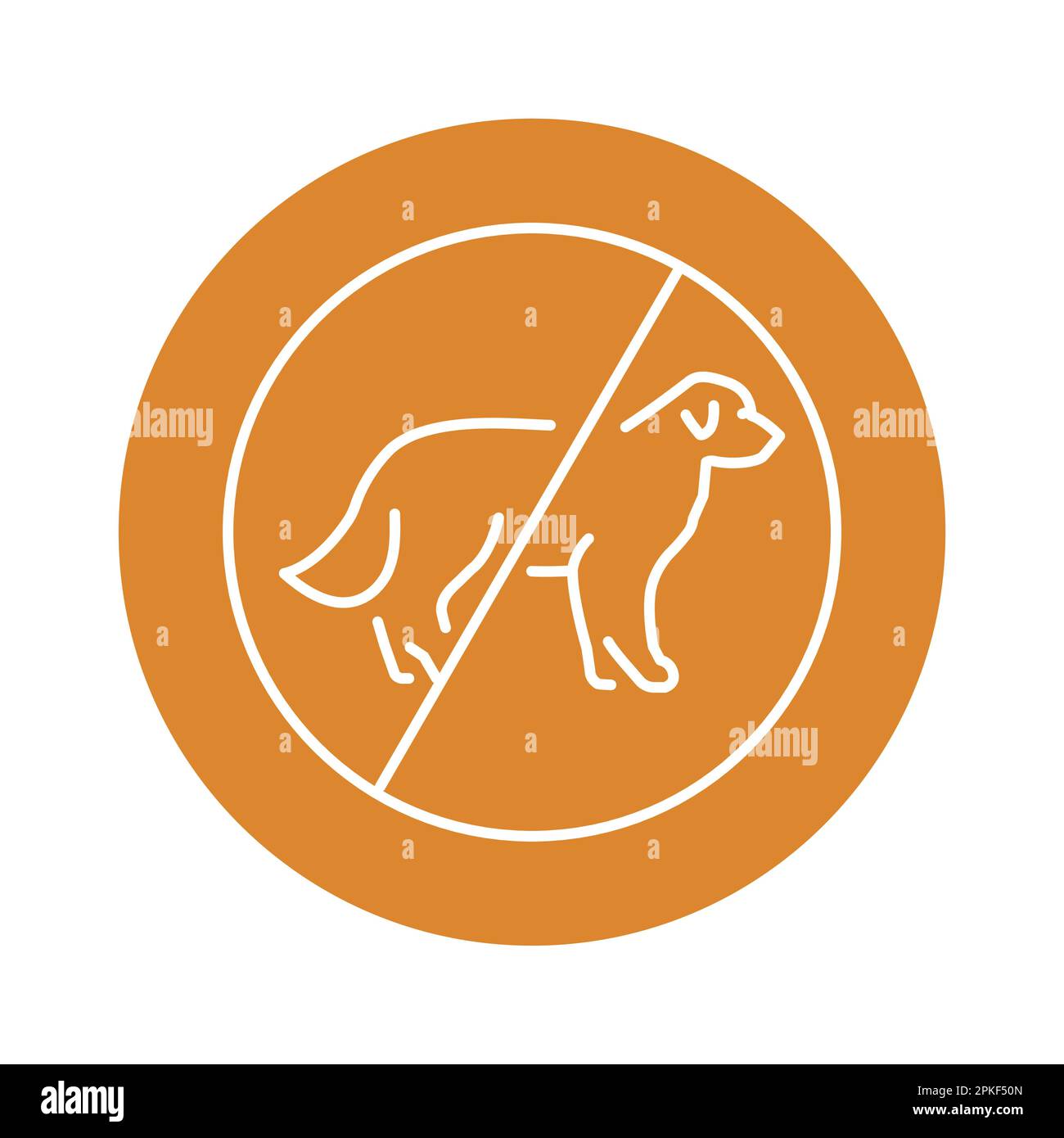 Golden retriever training to be a service dog hi-res stock photography ...