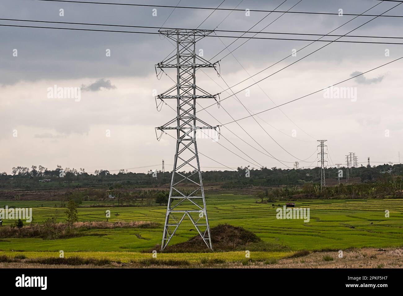 Electric power lines, electricity transmission towers Stock Photo Alamy
