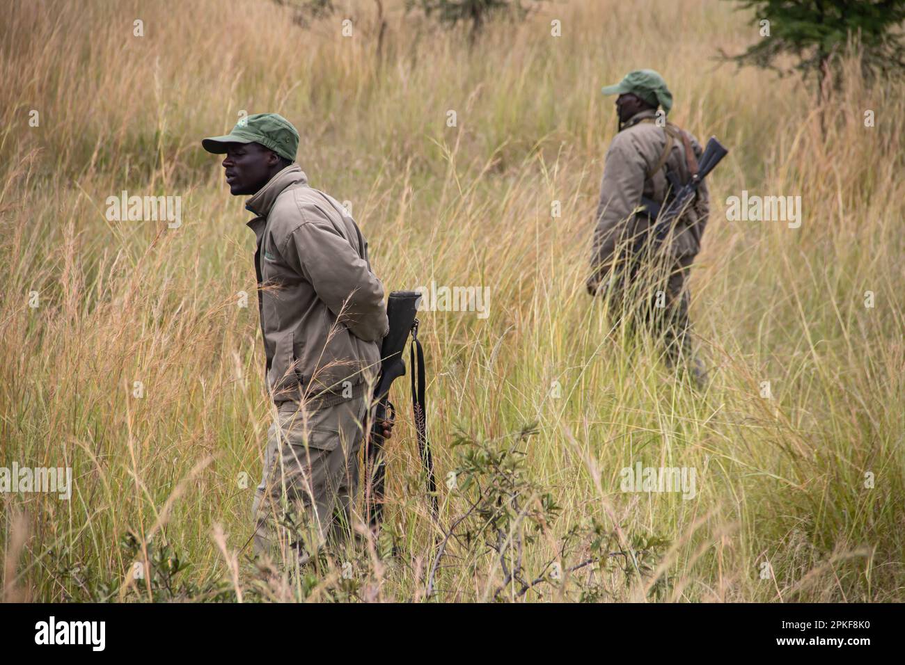 Rangers armed with guns in animal conservation park in Zimbabwe, in Imire Rhino and Wildlife Conservancy Stock Photo