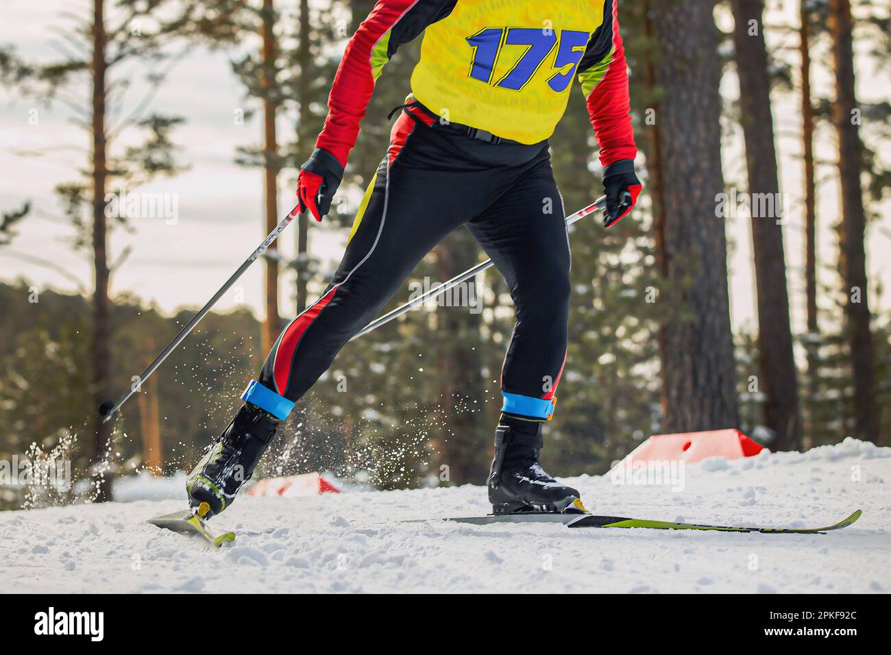 close-up male athlete skier running cross country skiing, on legs frid tag to control result Stock Photo