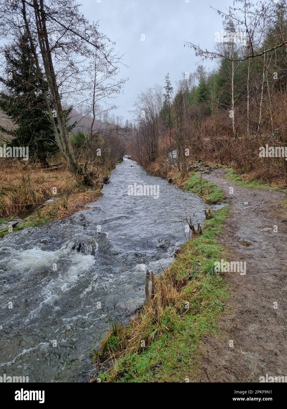 Creek captures serene landscape hi-res stock photography and images - Alamy