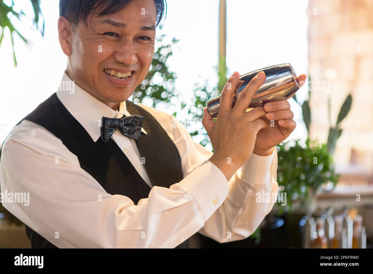 Bartender shaking a shaker Stock Photo Alamy