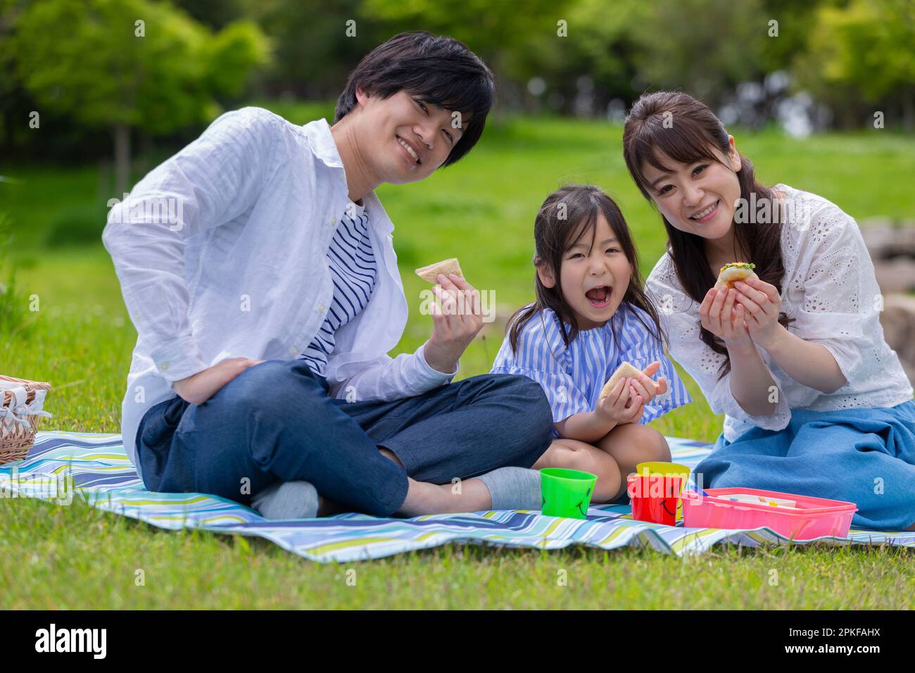 Family having a picnic Stock Photo