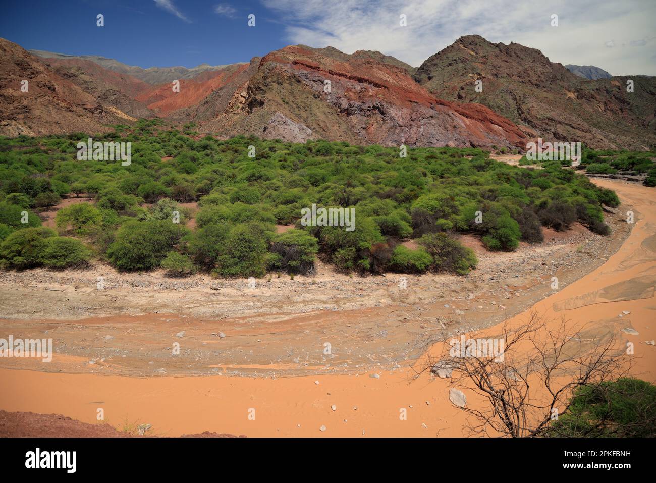 The orange color of Rio Las Conchas, Argentina Stock Photo - Alamy