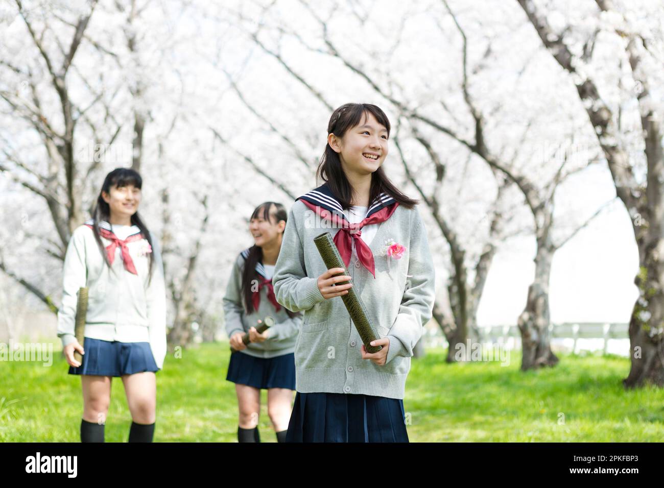 Schoolgirl standing in a row of cherry blossom trees Stock Photo - Alamy