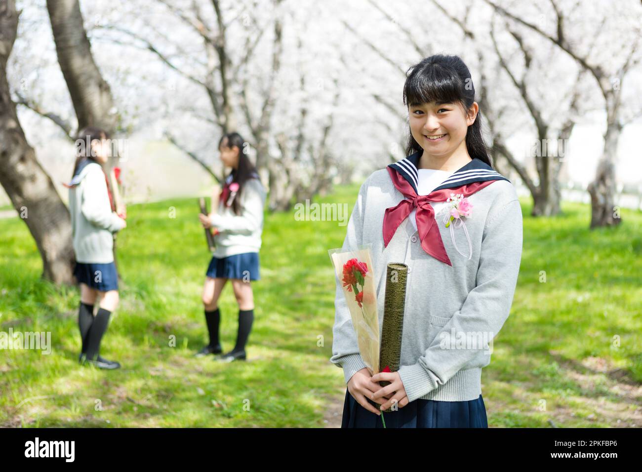 Schoolgirl standing in a row of cherry blossom trees Stock Photo - Alamy
