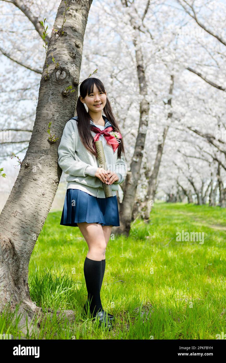 Schoolgirl standing in a row of cherry blossom trees Stock Photo - Alamy