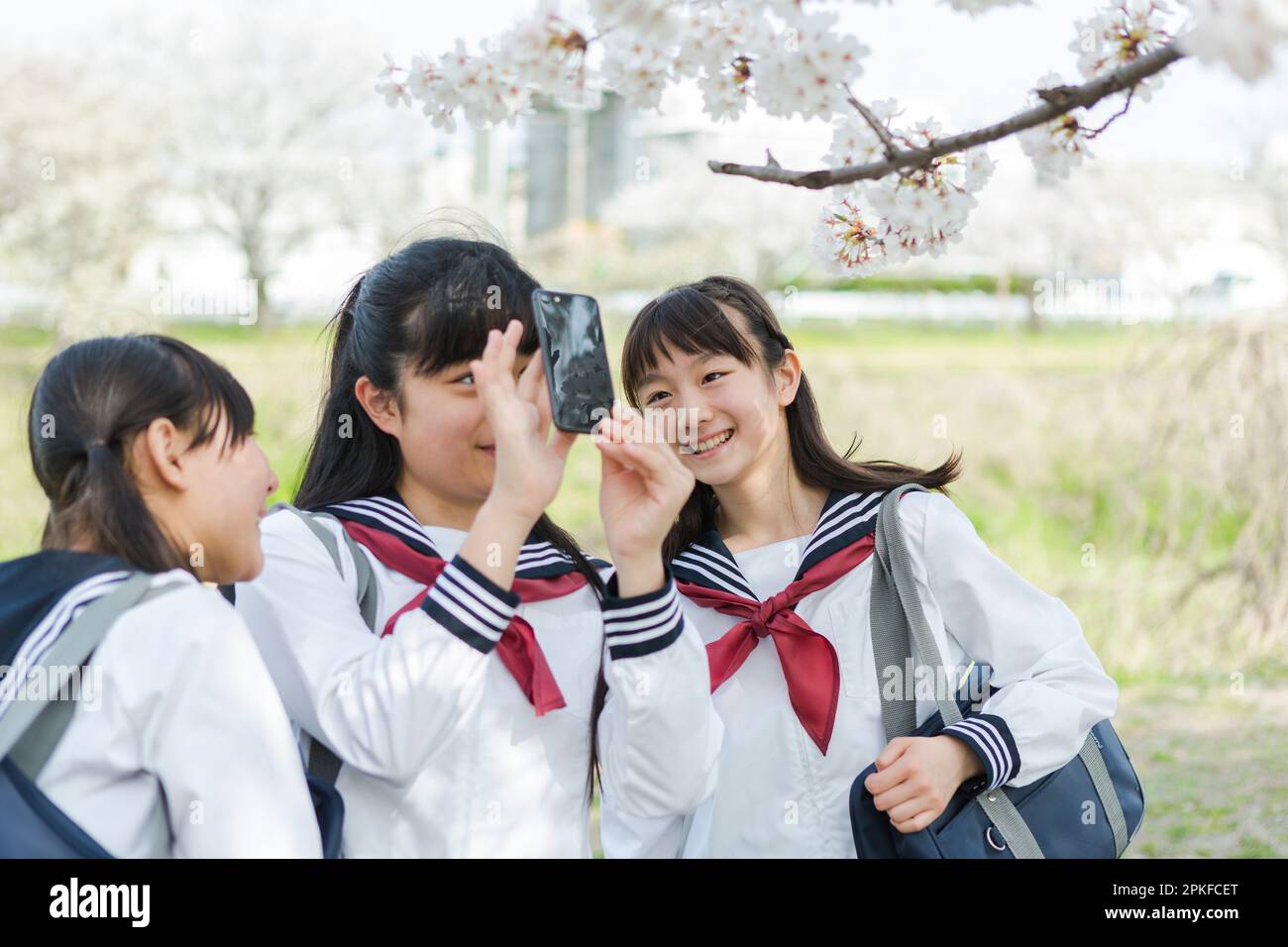 Schoolgirl taking a picture of cherry blossoms Stock Photo - Alamy