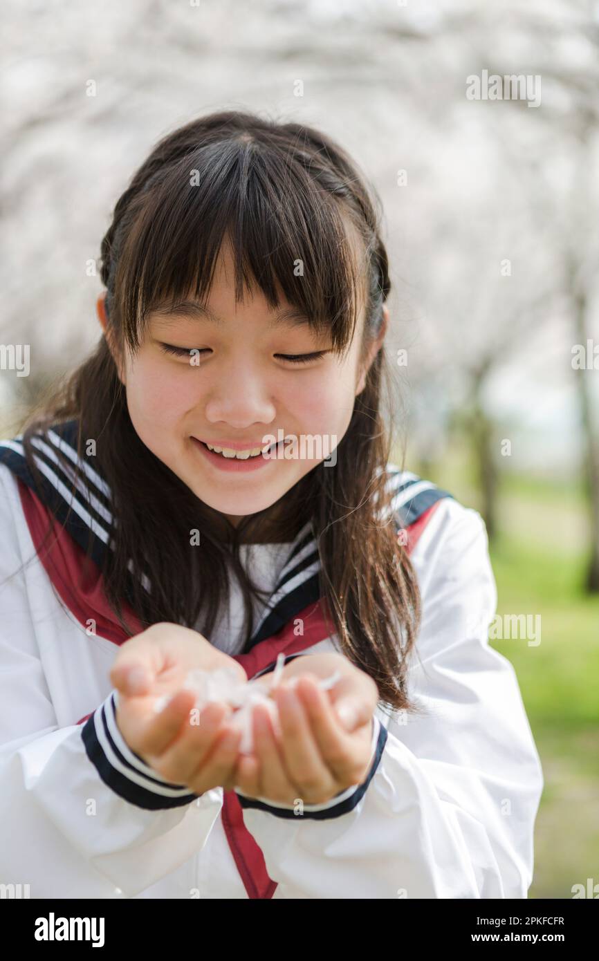 Schoolgirl Who Collected Cherry Blossoms In The Palm Of Her Hand Stock ...