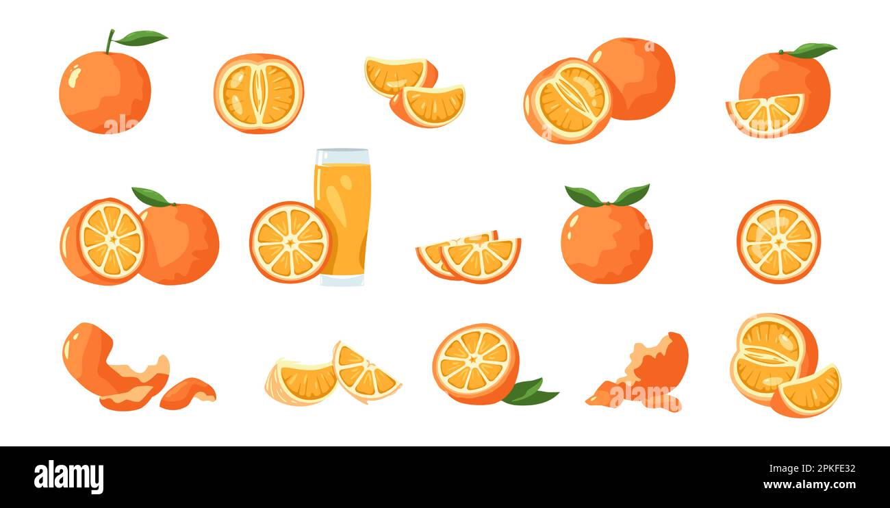 Orange fruit. Tropical tangerine and clementine slices, healthy whole mandarin and tangerine pieces and skin cartoon flat collection. Vector isolated Stock Vector