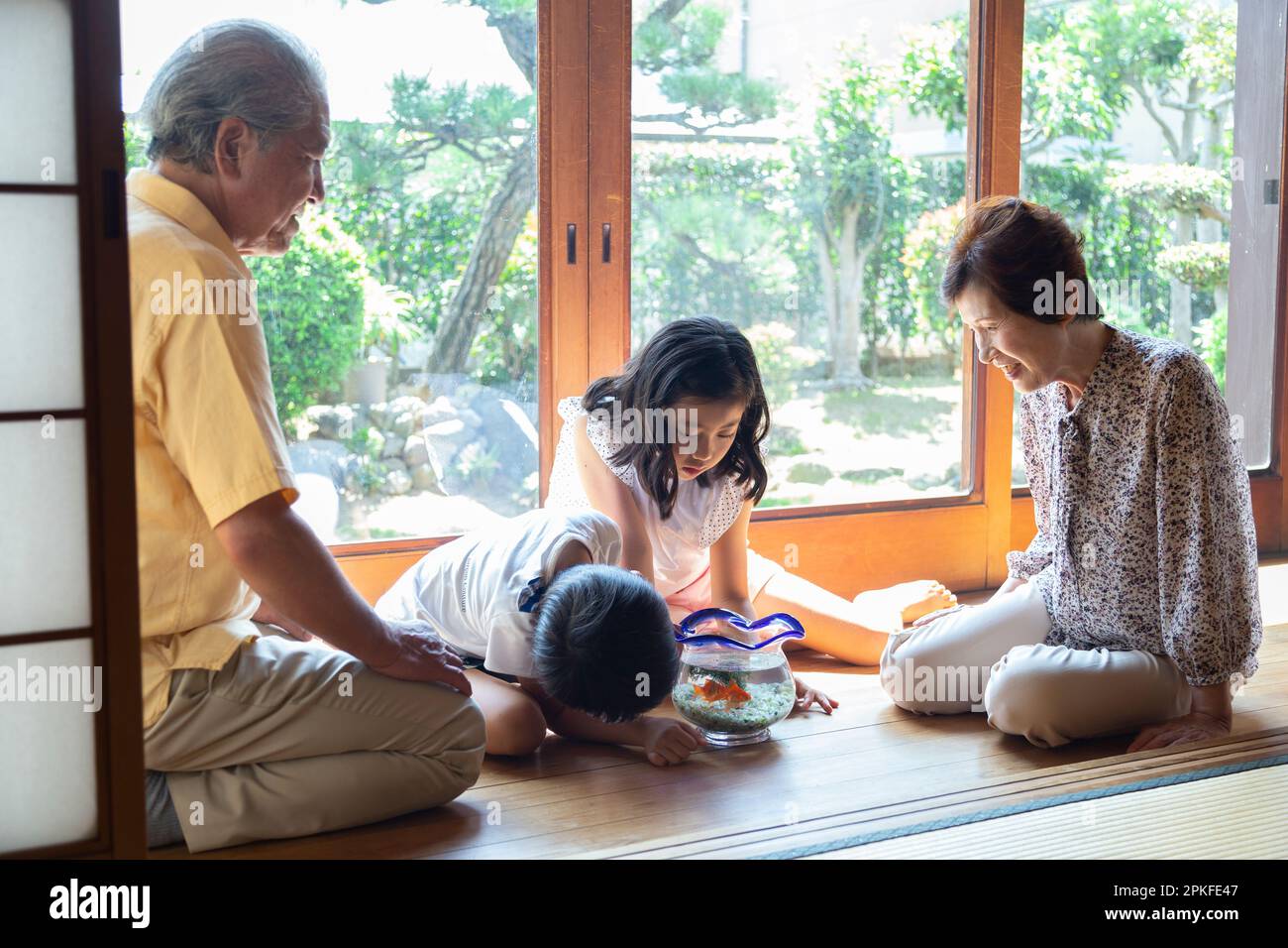 Siblings and grandparents observing a lingcod Stock Photo