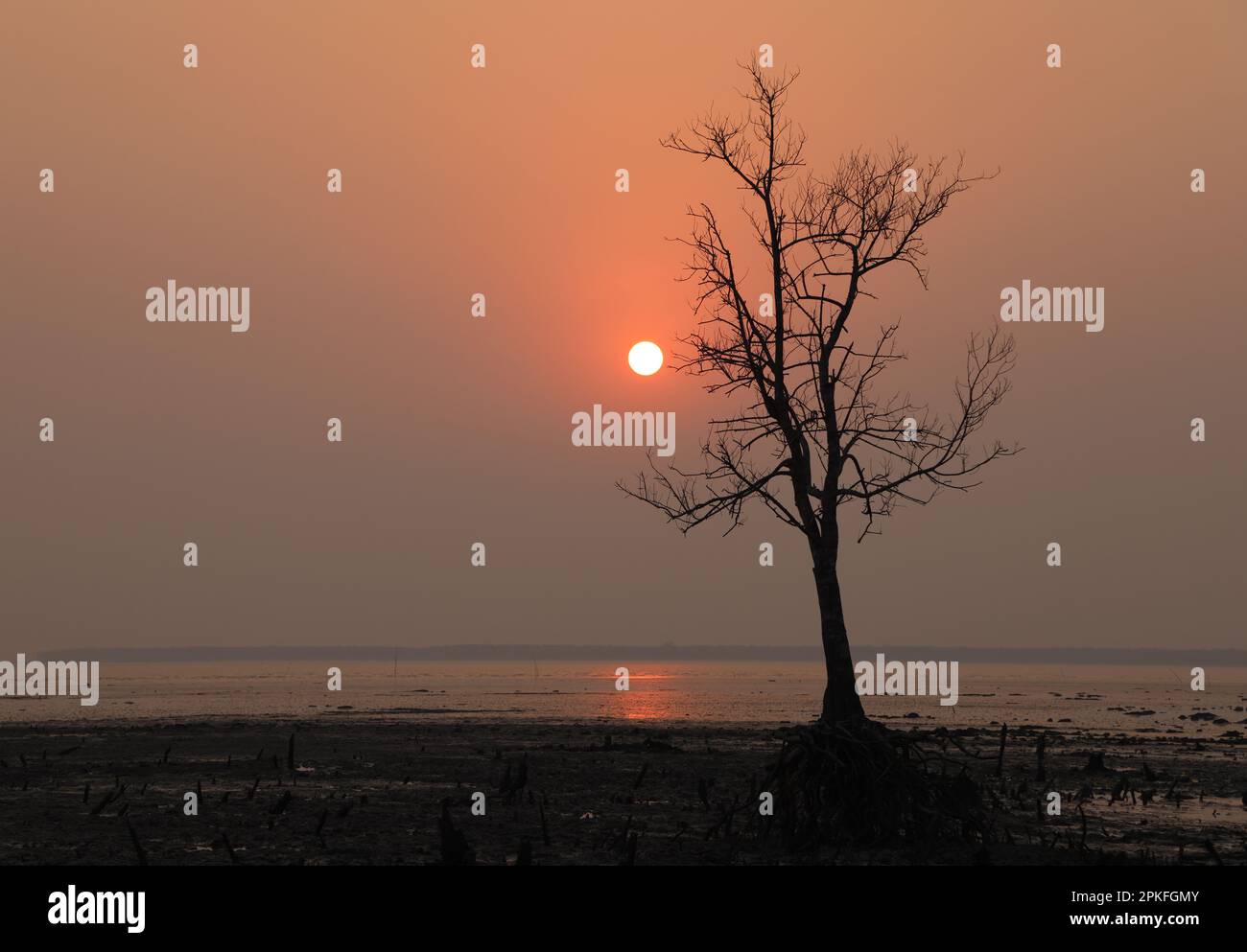 Sunset at Kotka sea beach.this photo was taken from Sundarbans National Park,Bangladesh. Stock Photo