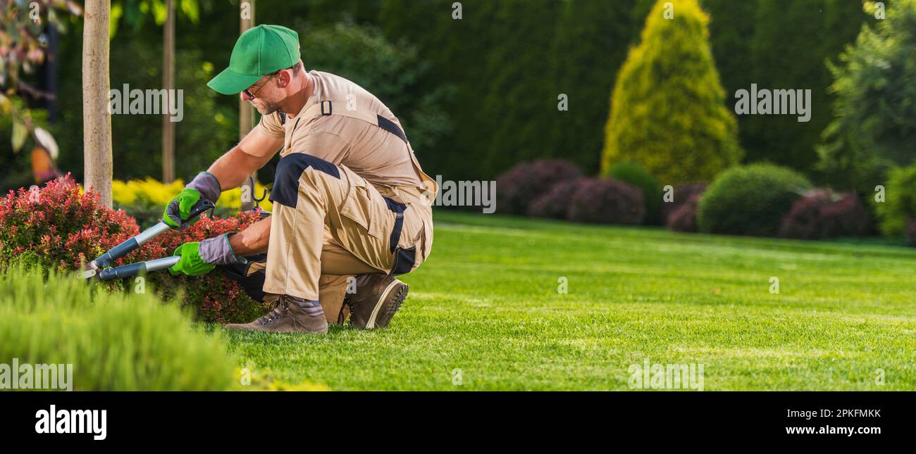 Landscaping and Garden Care Worker Trimming Plants Using Large Scissors. Stock Photo
