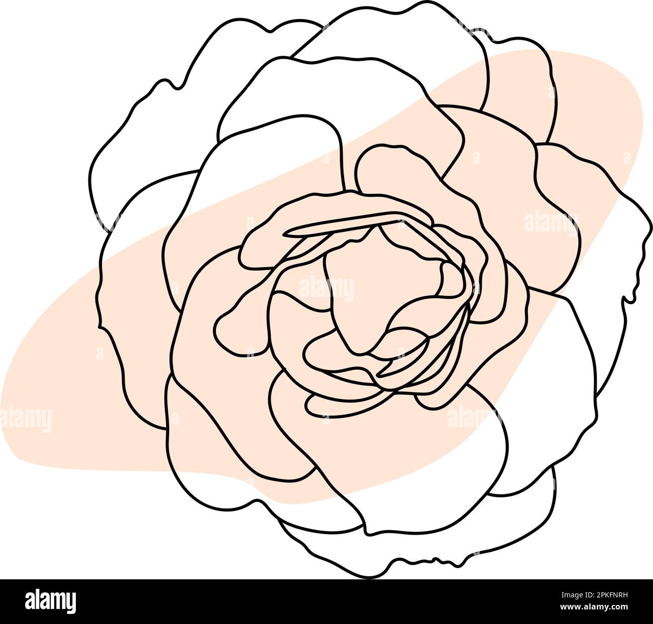 Rose hand drawn illustration in vecor. Sketches, line art Stock Vector ...