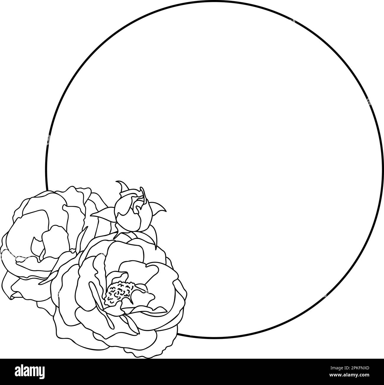 Rose hand drawn illustration in vecor. Sketches, line art Stock Vector ...