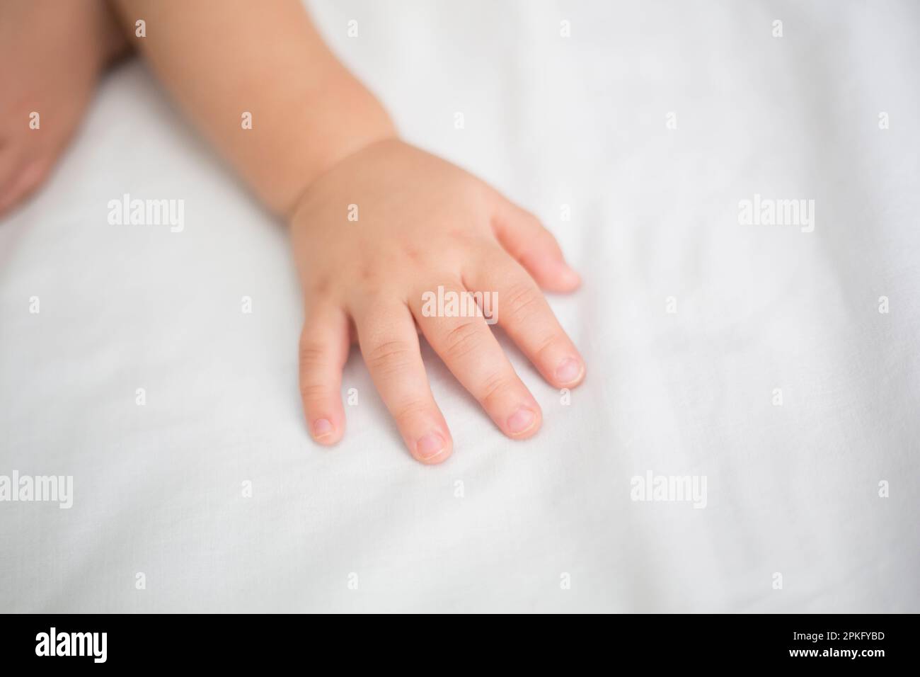 Baby's hands Stock Photo