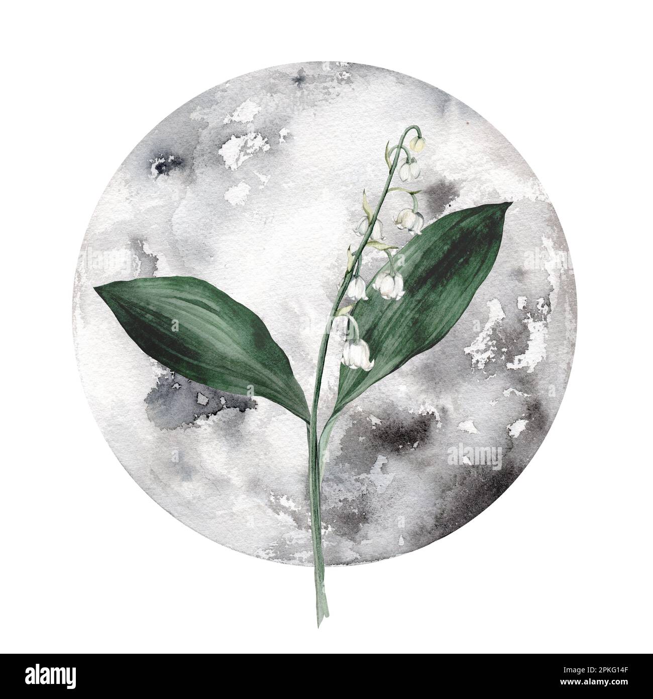 Mystical moon collection and bouquets of delicate spring lilies of the valley. Fairytale magic watercolor style objects. science set. All elements are Stock Photo