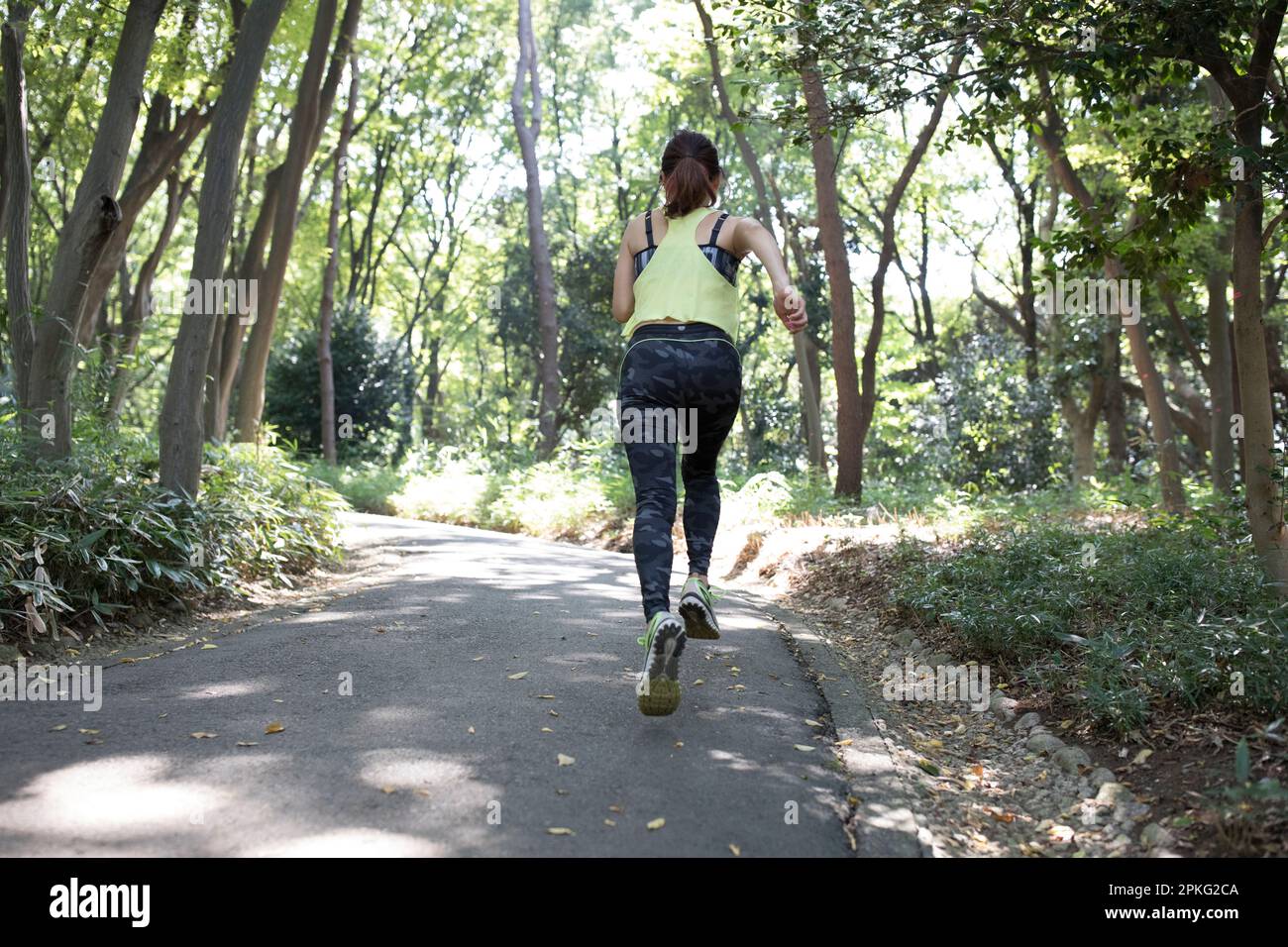 Back view of woman jogging in grove Stock Photo
