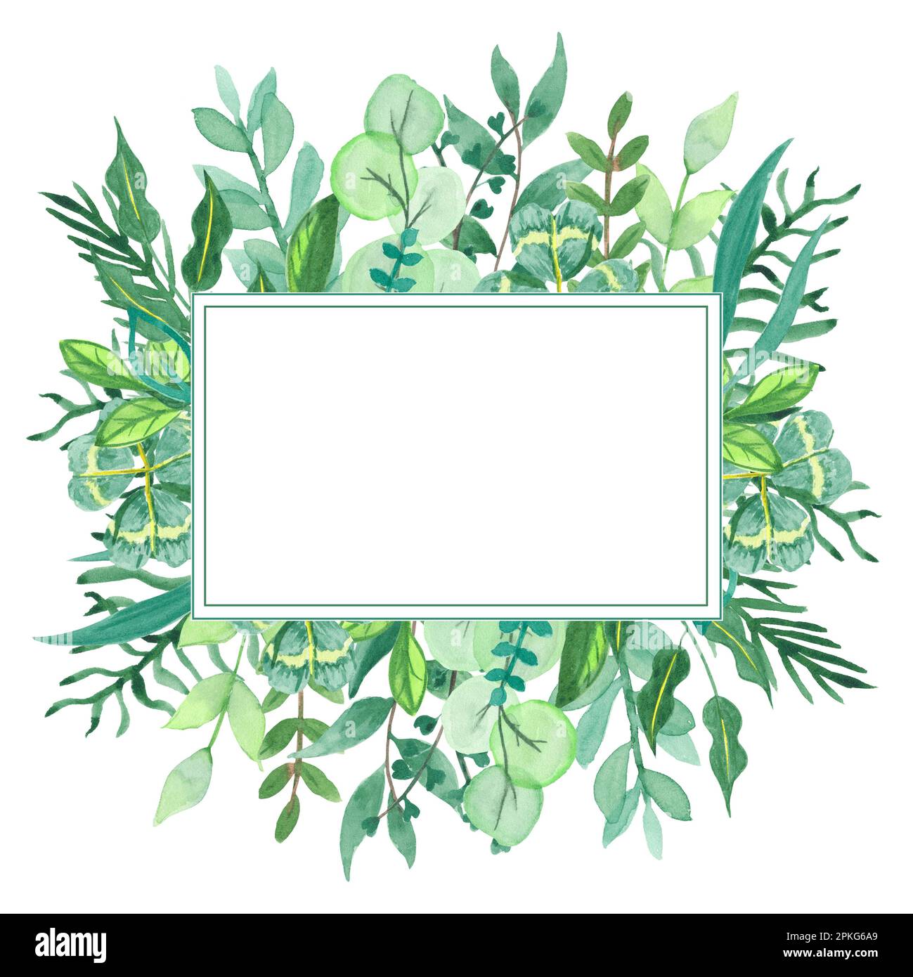Watercolor frame with wildflowers, hand-painted in botanical style for holiday and wedding cards. Border of green leaves isolated on white background Stock Photo