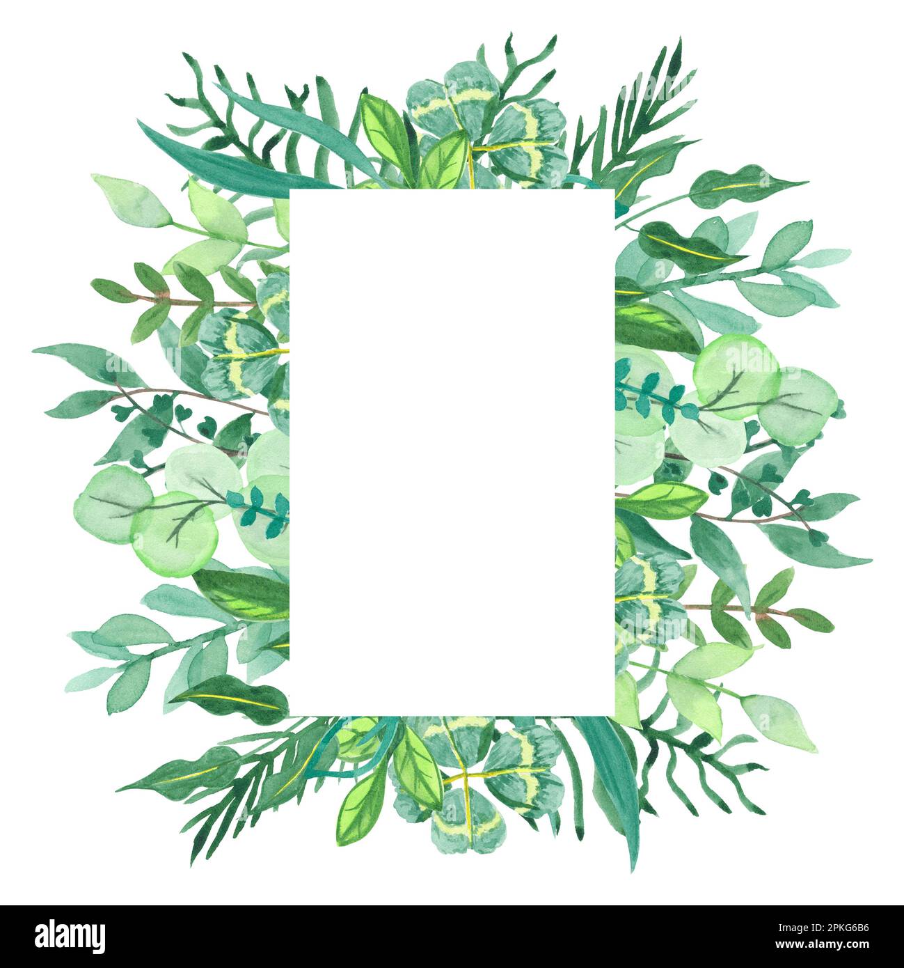 Watercolor frame with wildflowers, hand-painted in botanical style for holiday and wedding cards. Border of green leaves isolated on white background Stock Photo