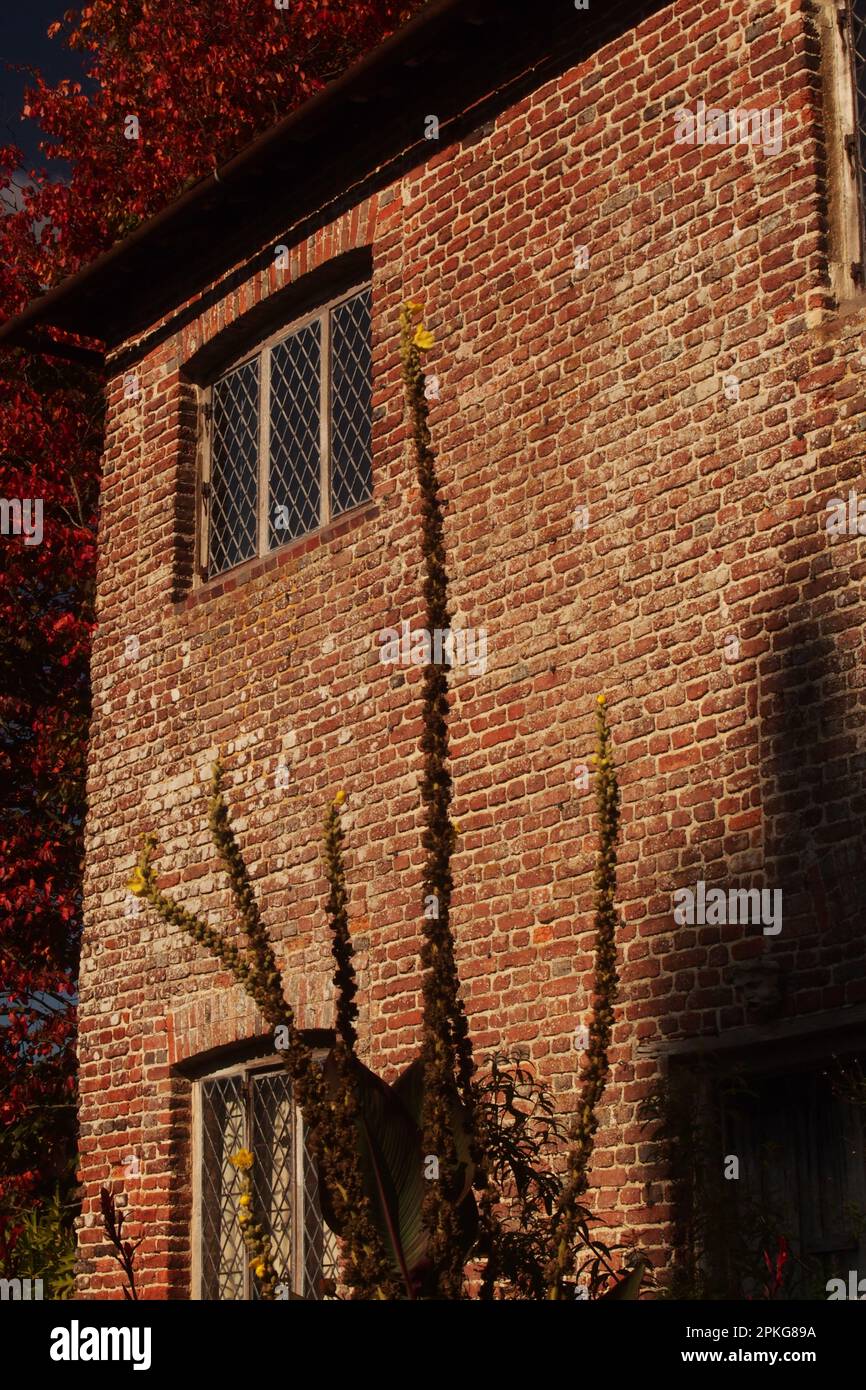 The side of a traditional Kent country house with lattice windows and
