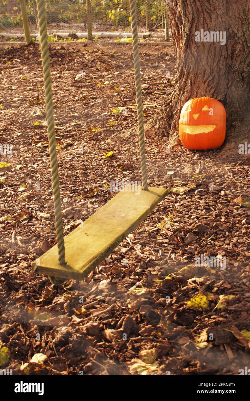 A large pumkin, carved out for halloween, leaning up against a large tree trunk in the background and a wooden swing seat on ropes in the foreground Stock Photo