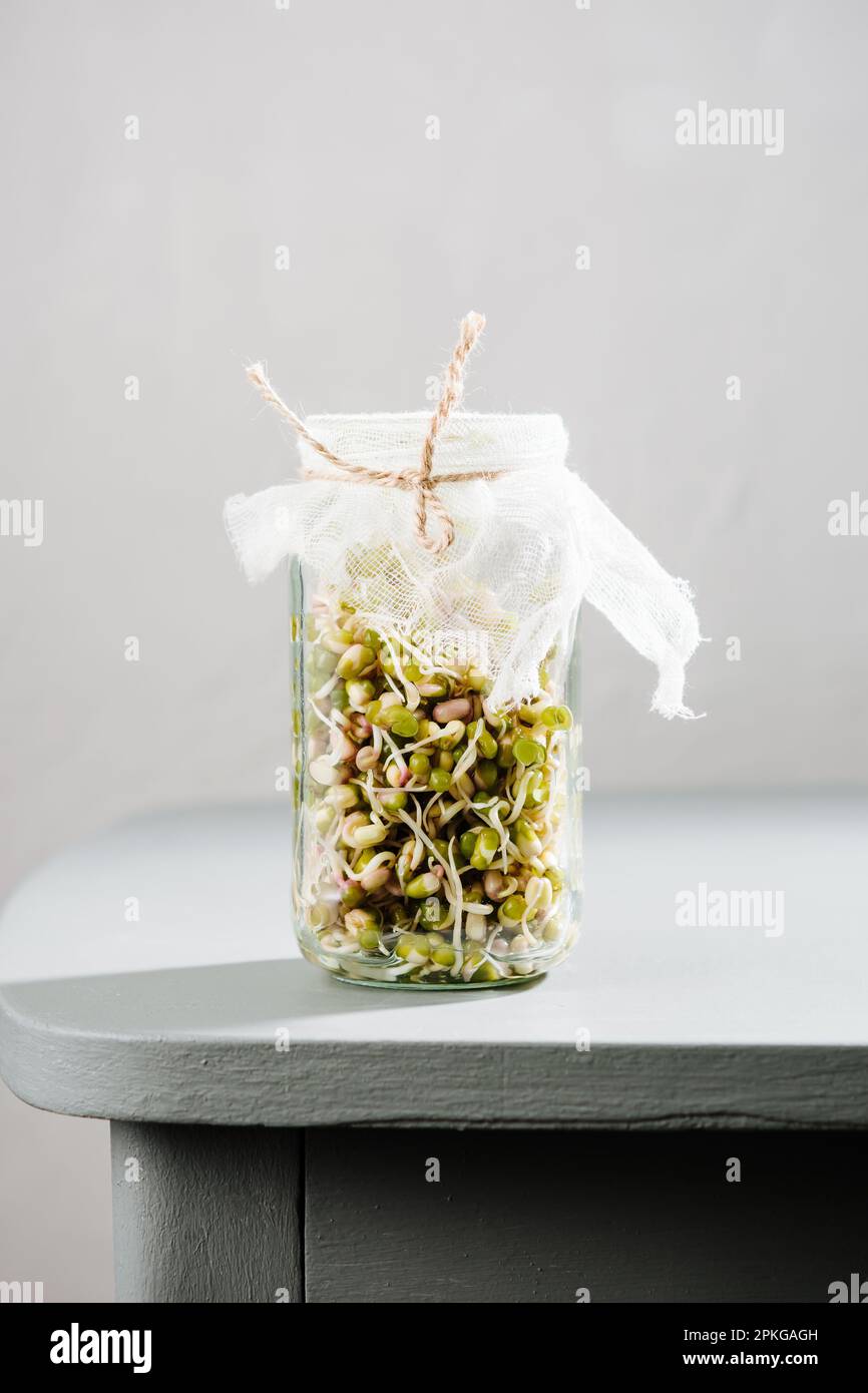 Fresh mung bean sprouts in a jar Stock Photo Alamy