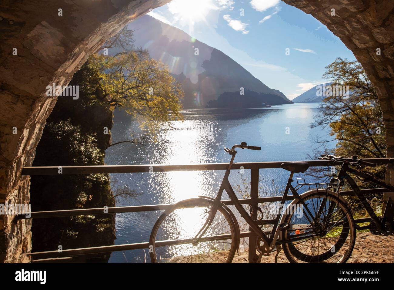View on Olive trail in sunny  day of  late autumn  and lake Lugano - sportive walking and healthy lifestyle: enjoyment of life! Stock Photo