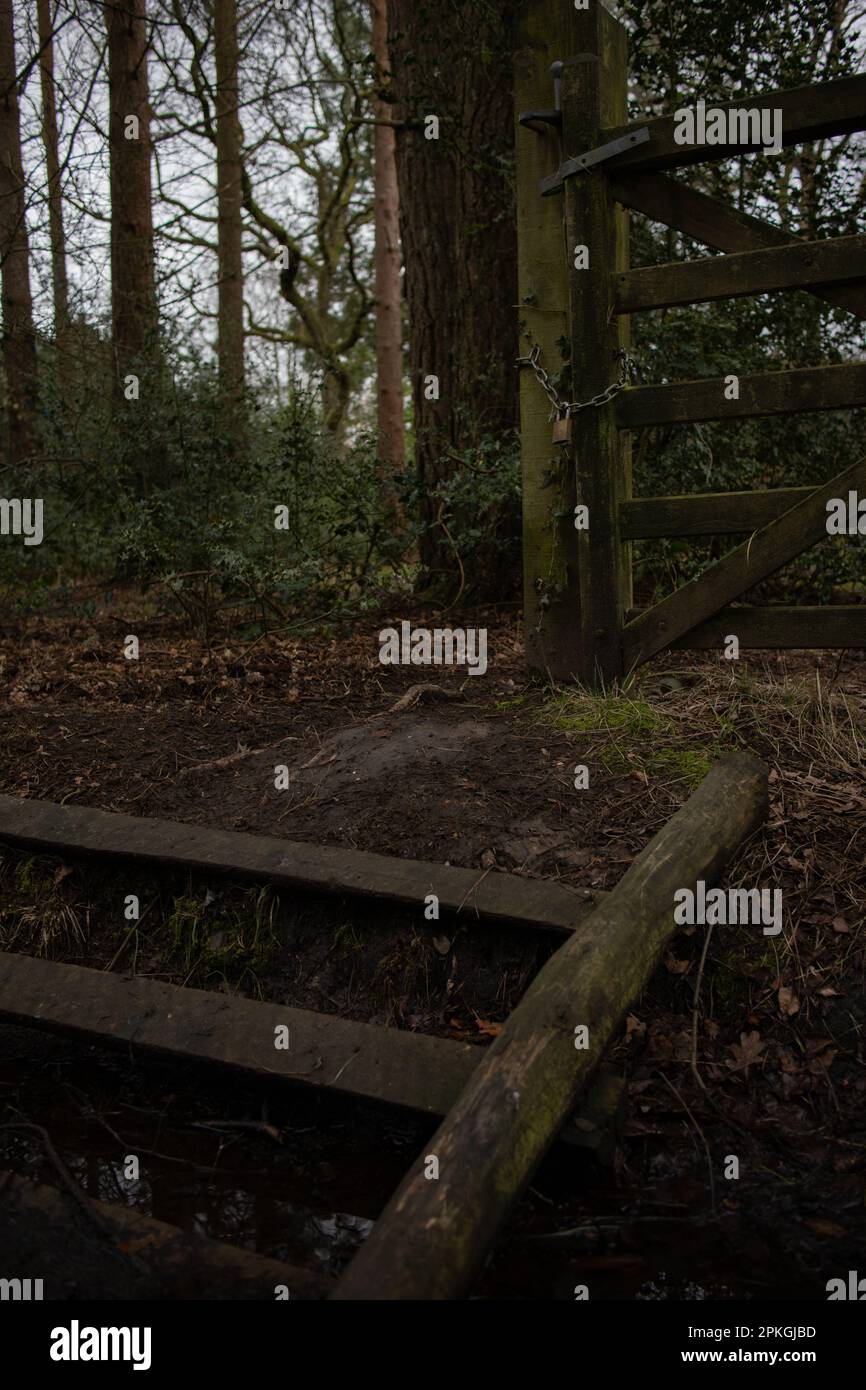 Woodland gate and fence hi-res stock photography and images - Alamy