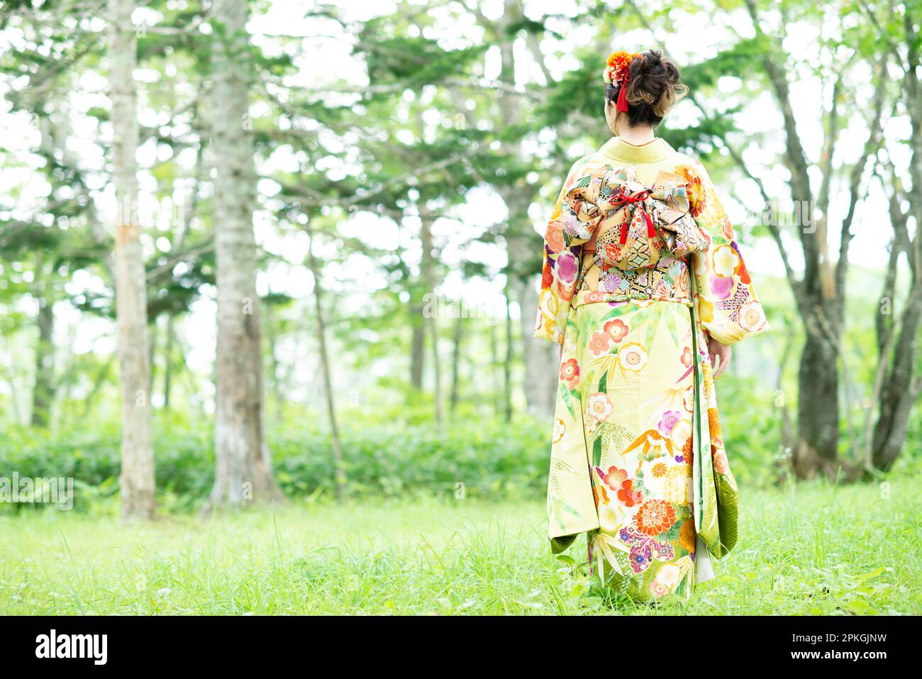 Rear view of woman in kimono standing in forest Stock Photo
