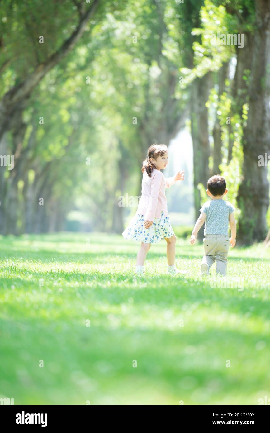 Rear view of a sister and brother running along the poplar-lined avenue of trees Stock Photo