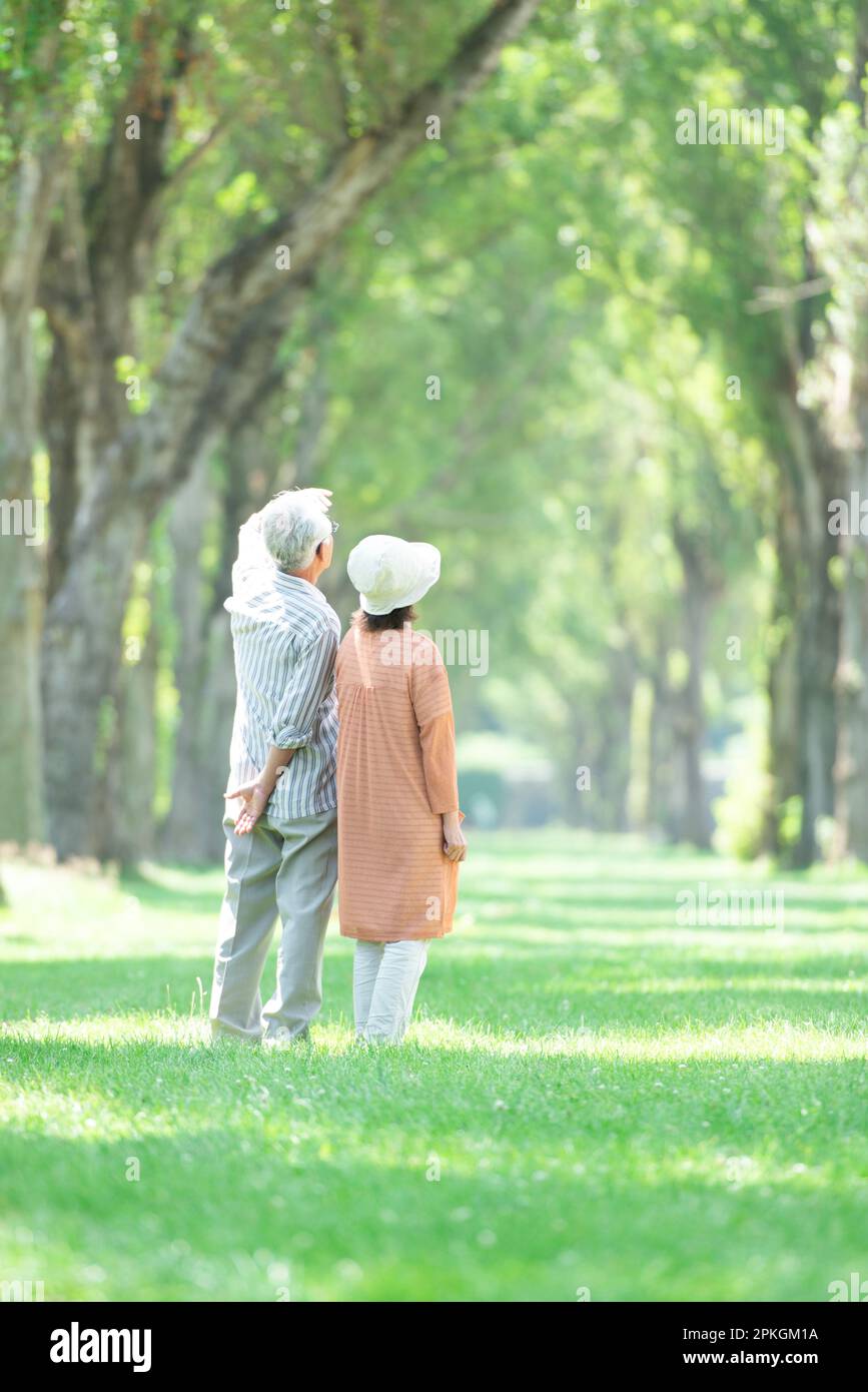 Rear view of a senior couple standing in a row of poplar trees Stock Photo