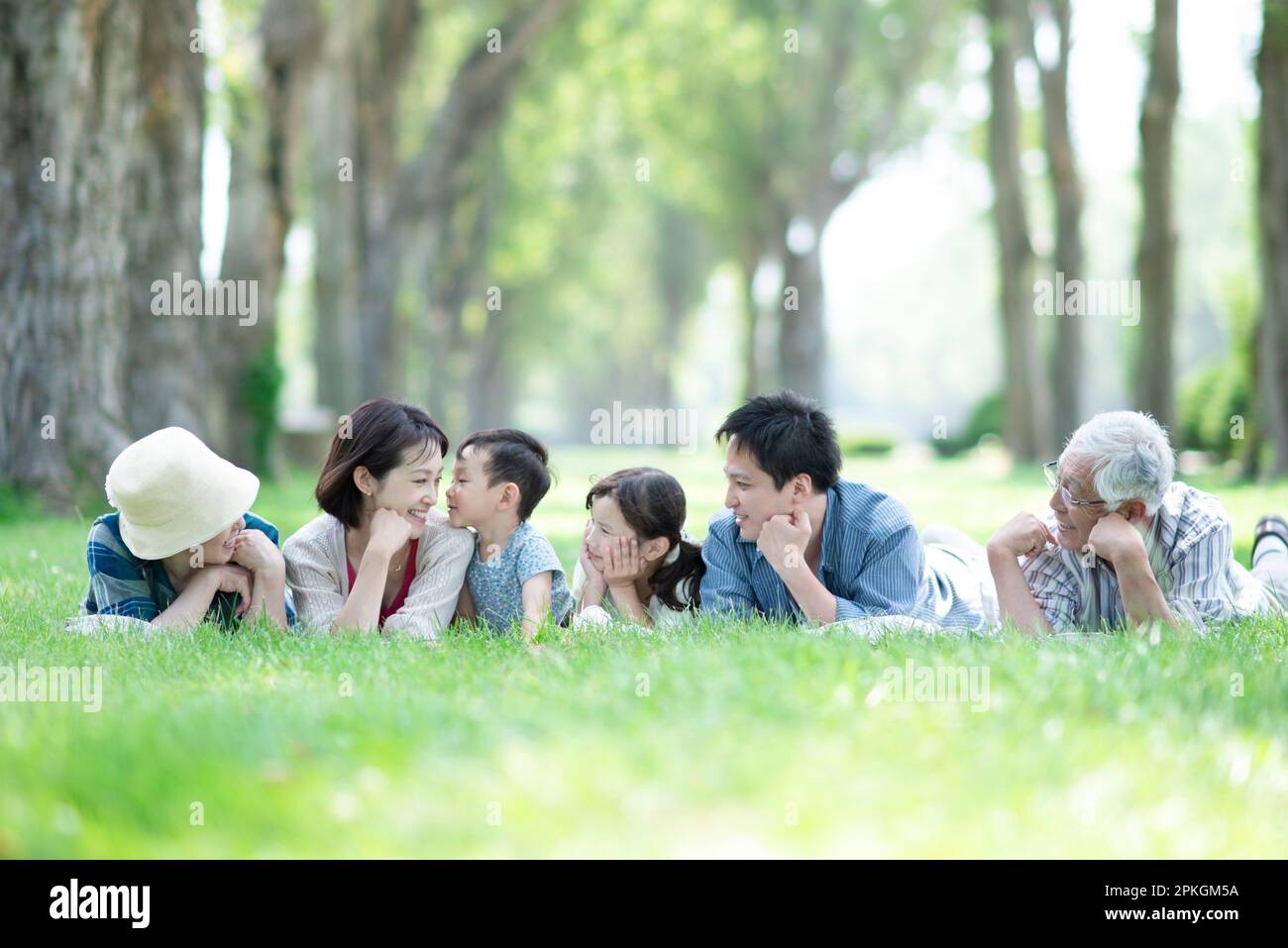 A family of three generations lying down in a row of poplar trees Stock