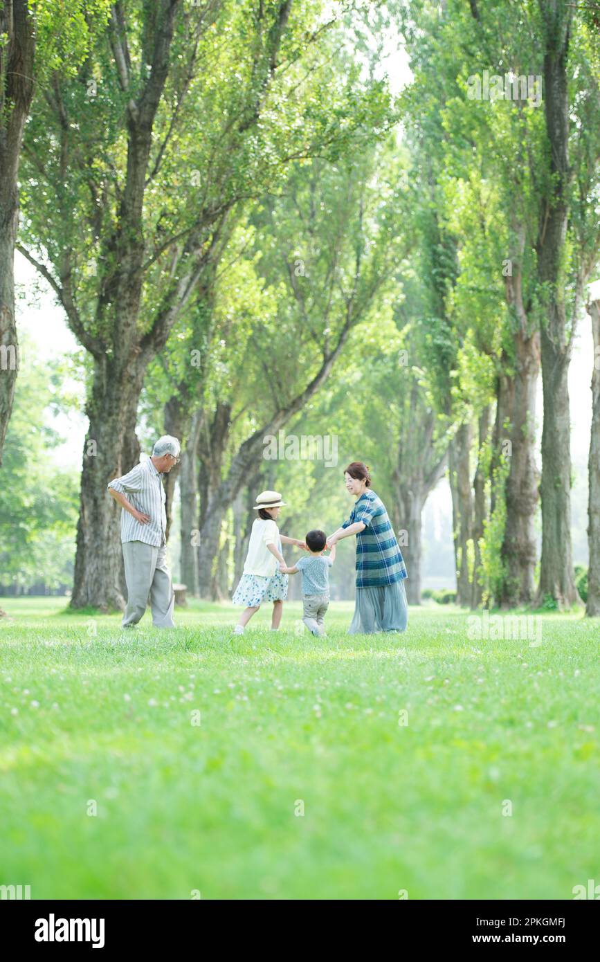 Grandparents and grandchildren playing in a row of poplar trees Stock Photo