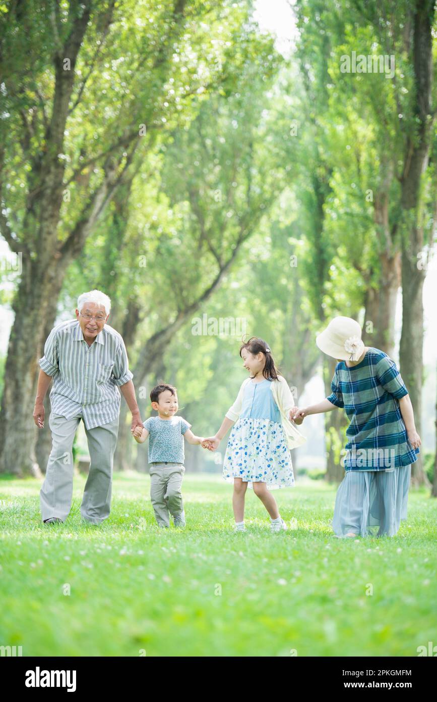 Grandparents and grandchildren walking along a row of poplar trees ...