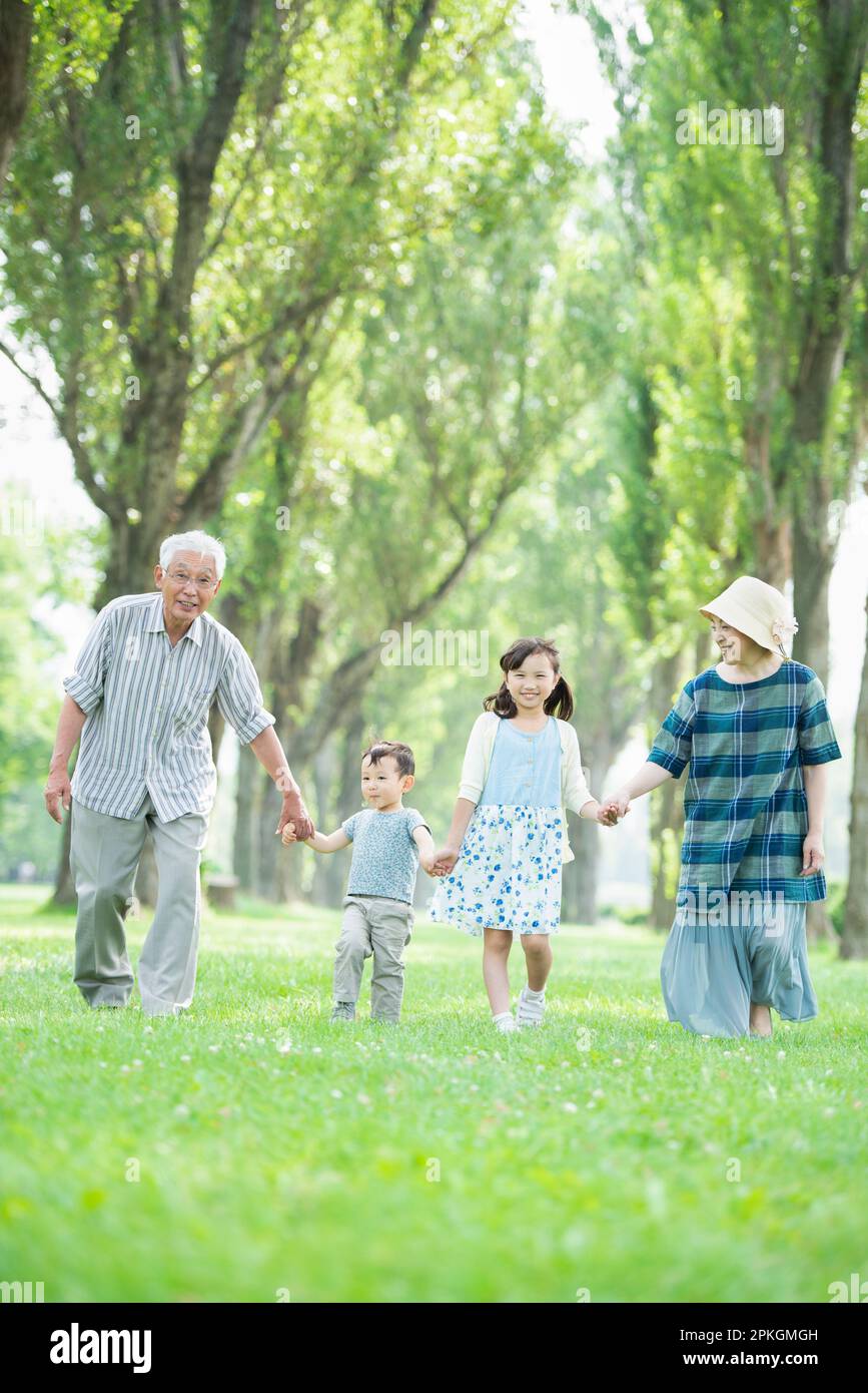 Grandparents and grandchildren walking along the row of poplar trees