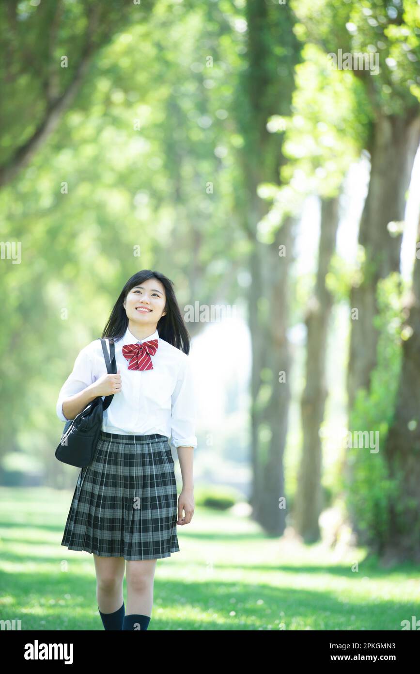 Female student walking along a row of poplar trees Stock Photo - Alamy