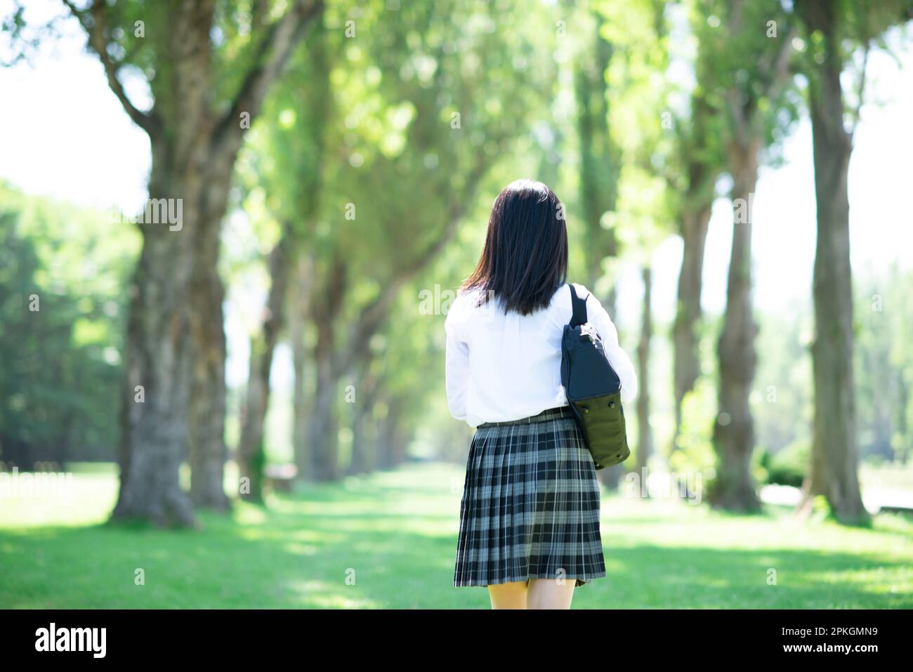 Rear view of a female student walking along poplar trees Stock Photo ...