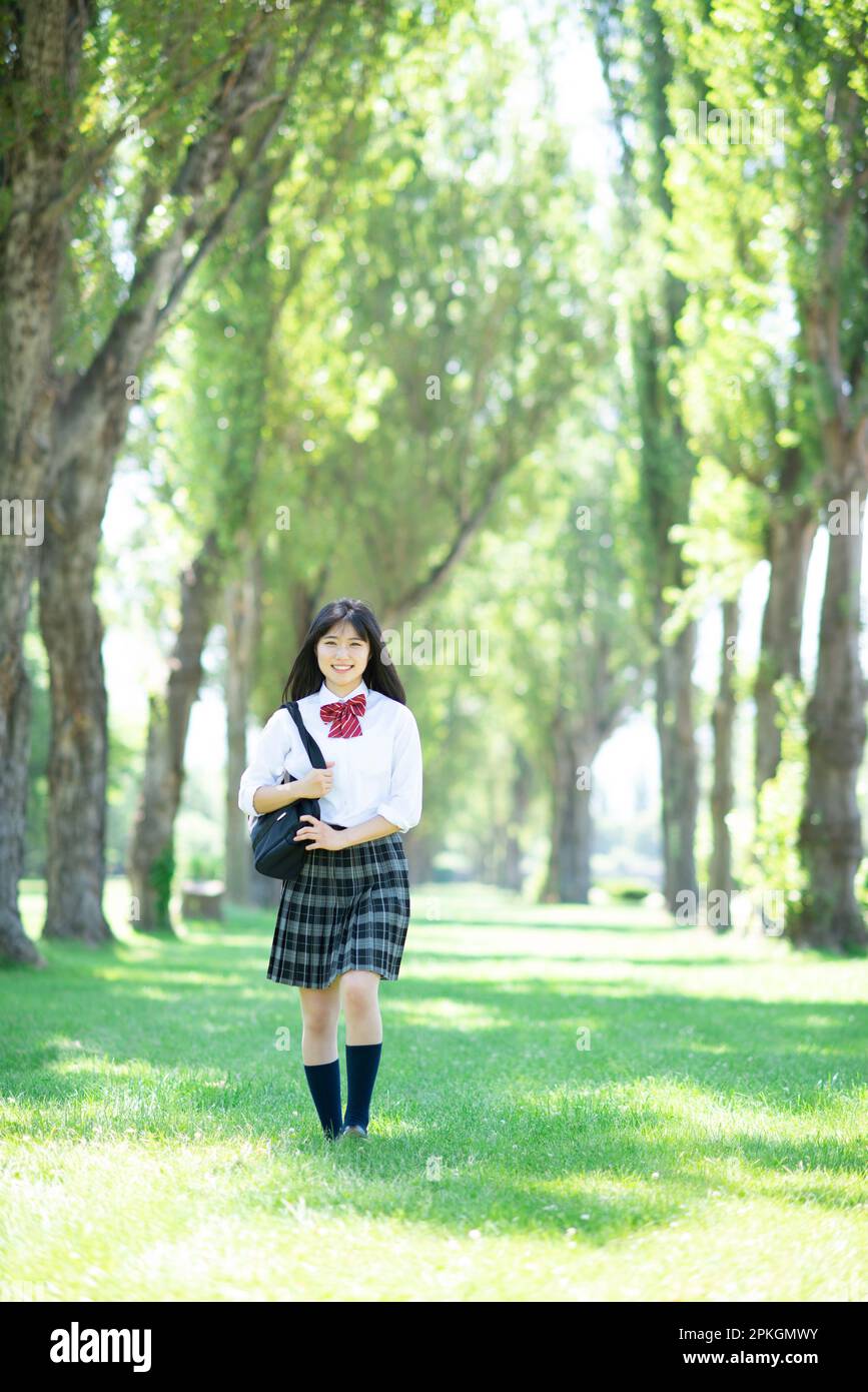Female student walking along the poplar trees Stock Photo - Alamy