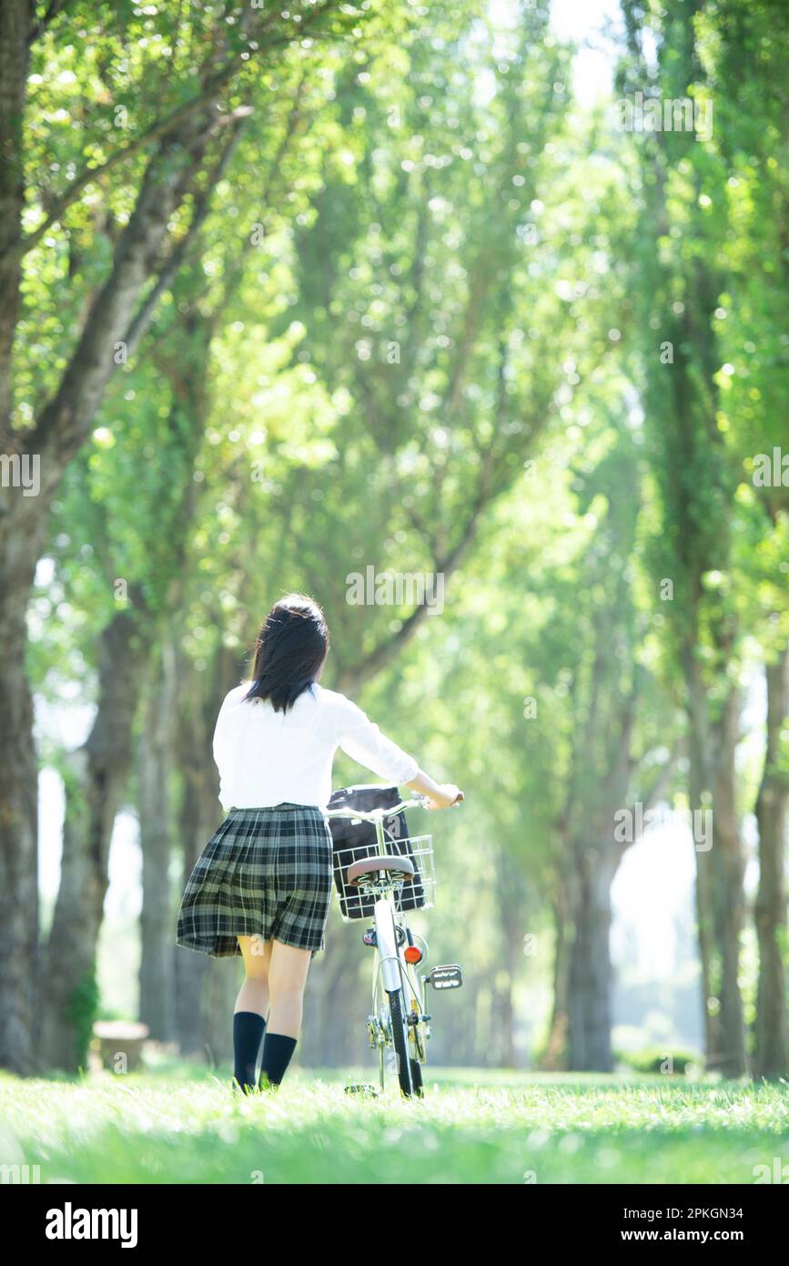 Rear view of a female student pushing a bicycle at a row of poplar trees Stock Photo