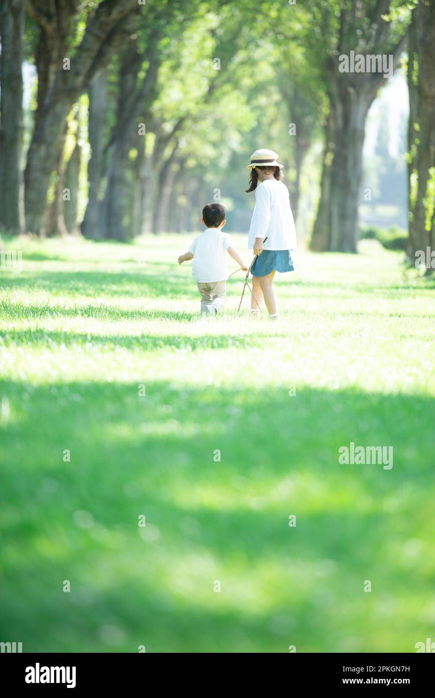 Rear view of a sister and brother playing in a row of poplar trees Stock Photo