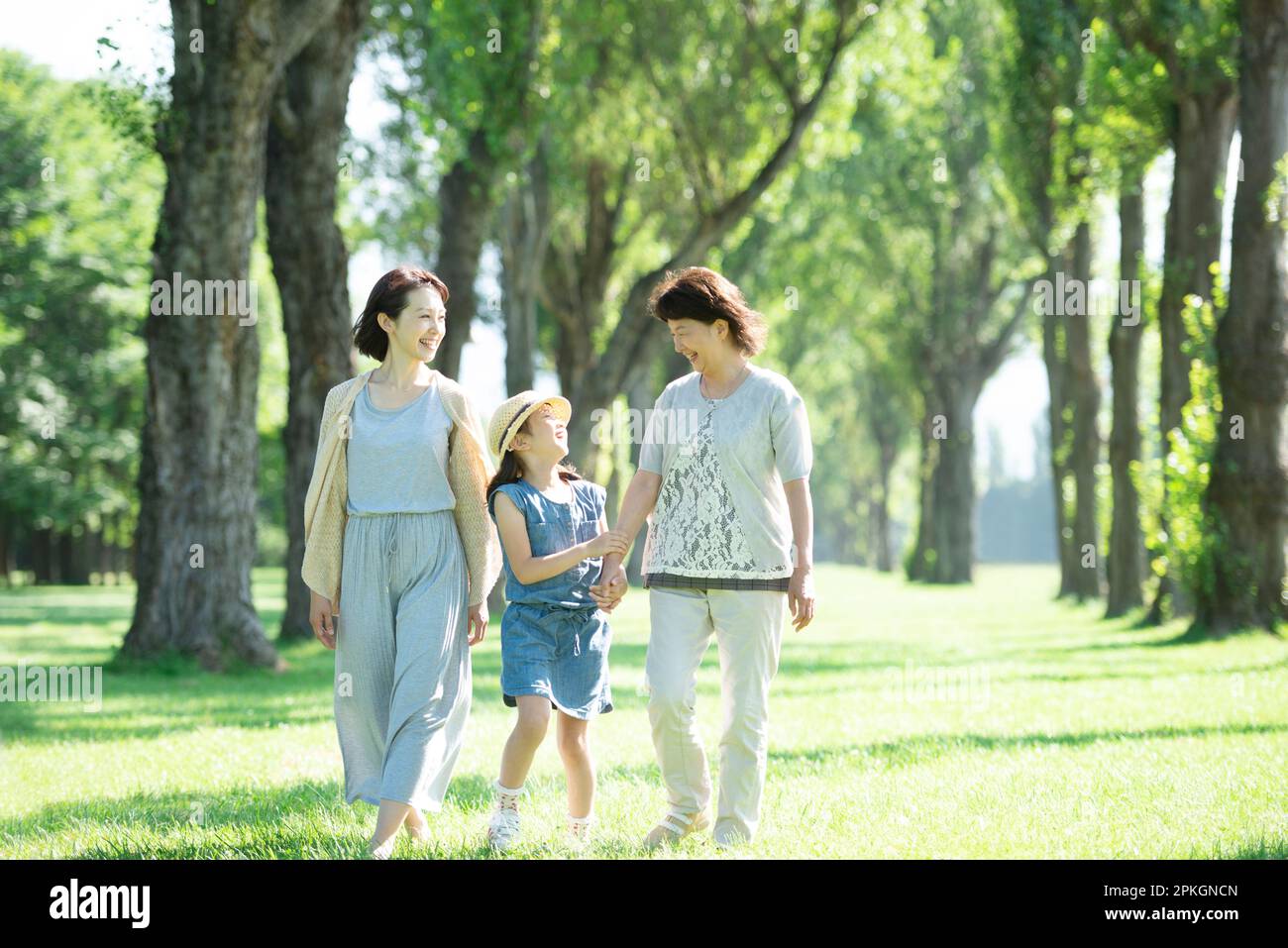 A family of three generations chatting at a row of poplar trees Stock ...
