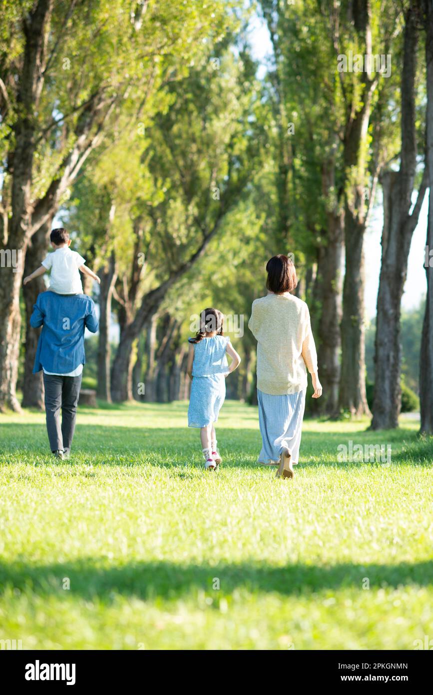 Rear view of a family walking along a row of poplar trees Stock Photo
