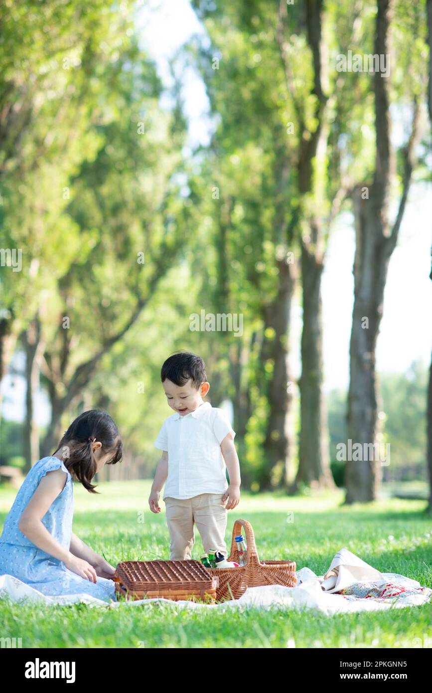 Sister and brother having a picnic at a poplar tree-lined park Stock ...
