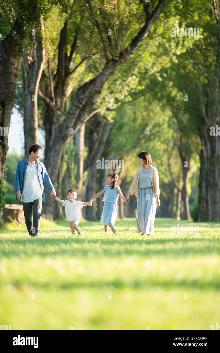 Family walking along poplar trees Stock Photo - Alamy