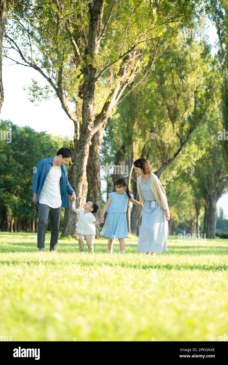 Family walking along poplar trees Stock Photo - Alamy