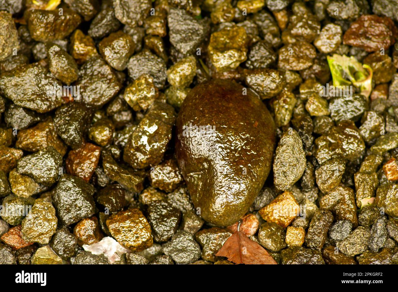 Natural color of volcanic rocks from Mount Merapi in Yogyakarta ...
